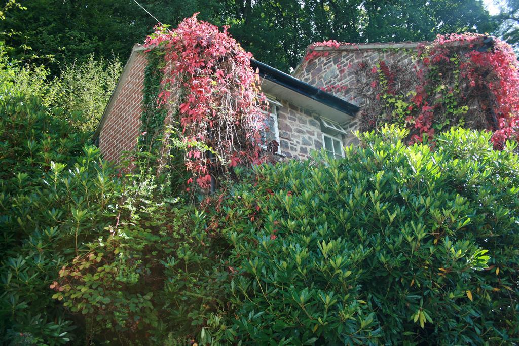 Hotel The Bark House Tiverton  Exterior foto