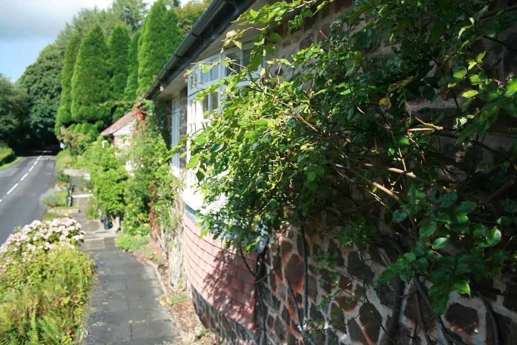 Hotel The Bark House Tiverton  Exterior foto